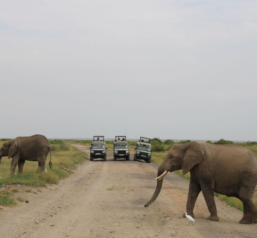 10 Best Places to Visit on a Kenya Safari 3 Places to Visit on a Kenya Safari