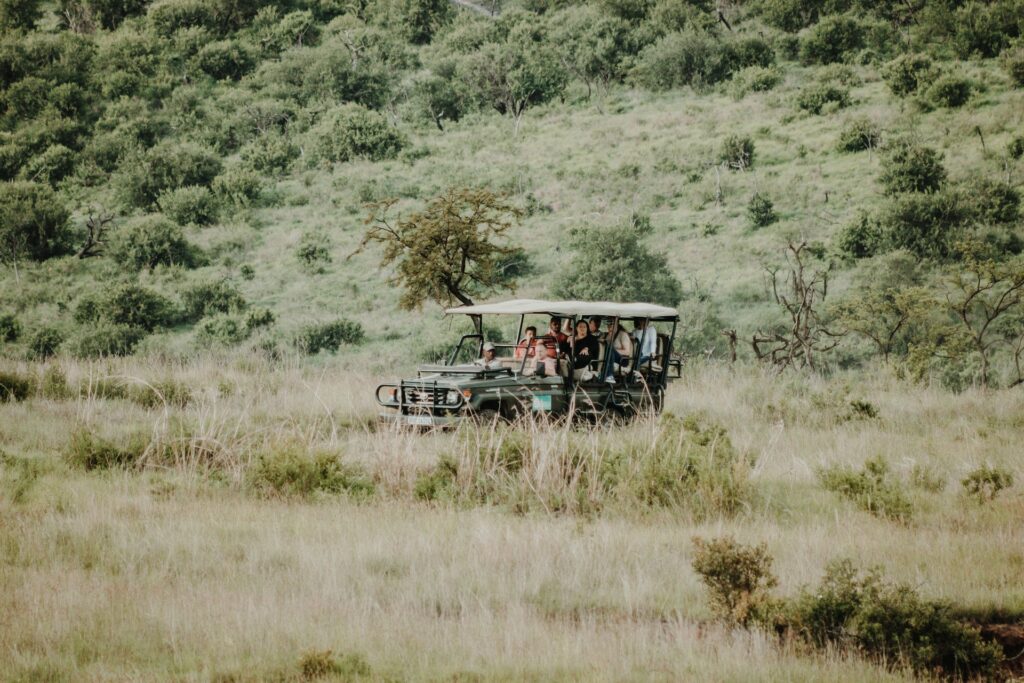 best africa kenya safaris