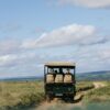 kenya safari adventure