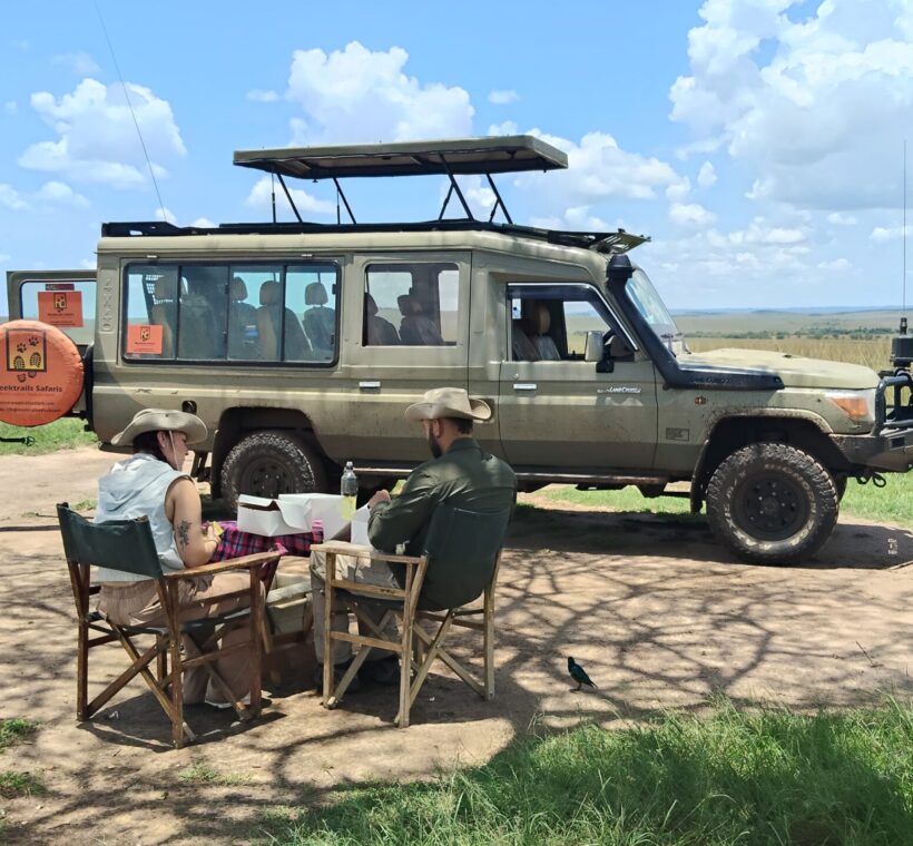 Kenya Safari Guide: Destinations, Timing & What to See 1 kenya safari guide