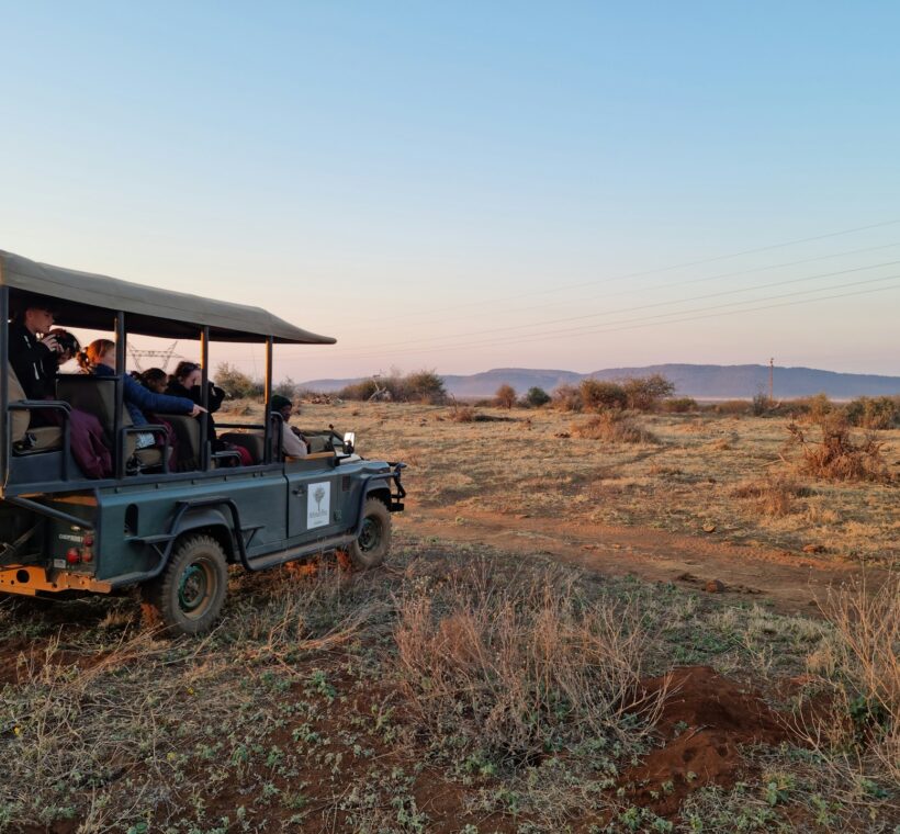 kenya safari vs south africa safari