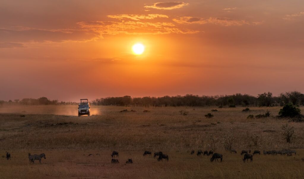 Kenya Safari Photography: Tips for Capturing Wildlife 2 masai mara safari