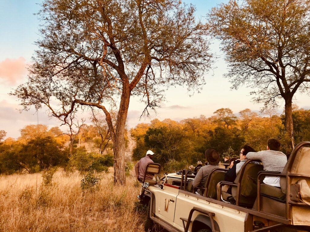 safari in south africa
