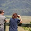 Kenya Safari Destinations for Senior Tourists